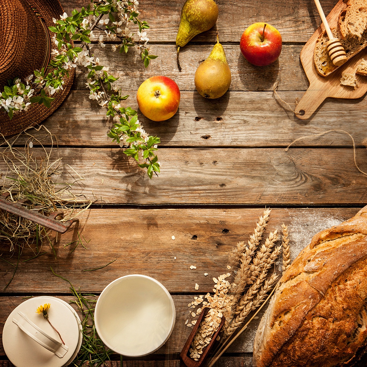 Farmářské speciality 24. - 26.3.2017