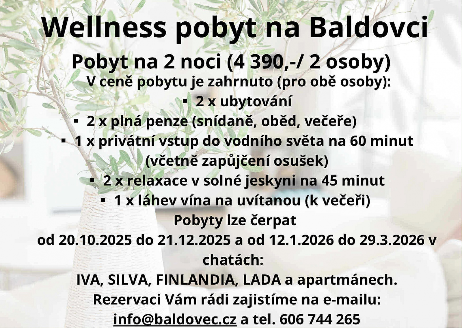 Wellness pobyt 2026