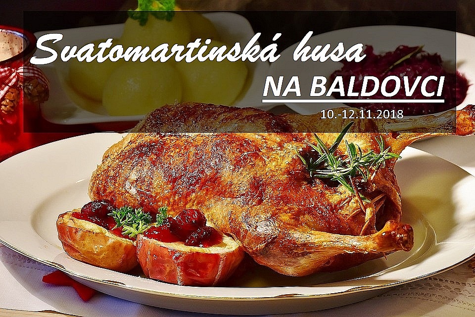 Svatomartinská husa